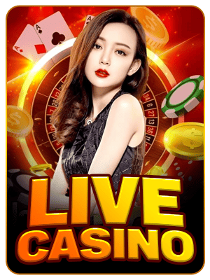 shwe88 Live Casino